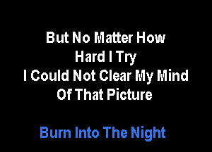 But No Matter How
Hard I Try
I Could Not Clear My Mind
Of That Picture

Burn Into The Night