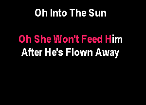 0h Into The Sun

0h She Won't Feed Him

After He's F lown Away