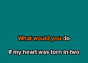 What would you do

If my heart was torn in two