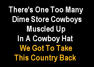 There's One Too Many
Dime Store Cowboys
Muscled Up

In A Cowboy Hat
We Got To Take
This Country Back