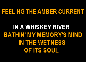 FEELING THE AMBER CURRENT

IN A WHISKEY RIVER
BATHIN' MY MEMORY'S MIND
IN THE WETNESS
OF ITS SOUL