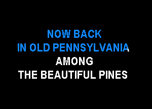 NOW BACK
IN OLD PENNSYLVANIA

AMONG
THE BEAUTIFUL PINES