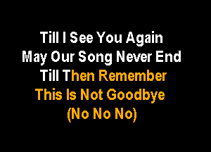Till I See You Again
May Our Song Never End

Till Then Remember
This Is Not Goodbye
(No No No)