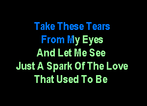 Take These Tears
From My Eyes
And Let Me See

Just A Spark Of The Love
That Used To Be