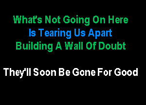 What's Not Going On Here
Is Tearing Us Apart
Building A Wall Of Doubt

They'll Soon Be Gone For Good