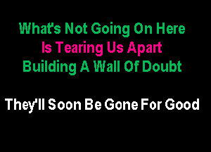 What's Not Going On Here
Is Tearing Us Apart
Building A Wall Of Doubt

They'll Soon Be Gone For Good