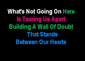 What's Not Going On Here
Is Tearing Us Apart
Building A Wall Of Doubt

That Stands
Between Our Hearts