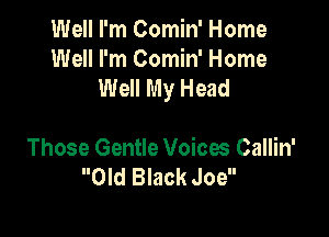 Well I'm Comin' Home
Well I'm Comin' Home
Well My Head

Those Gentle Voices Callin'
Old Black Joe