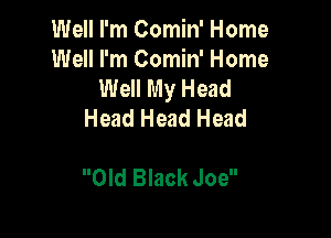 Well I'm Comin' Home
Well I'm Comin' Home
Well My Head
Head Head Head

Old Black Joe