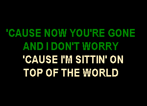 'CAUSE NOW YOU'RE GONE
AND I DON'T WORRY
'CAUSE I'M SITTIN' ON
TOP OF THE WORLD