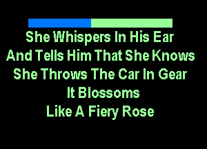 21
She Whispers In His Ear

And Tells Him That She Knows
She Throws The Car In Gear
It Blossoms

Like A Fiely Rose