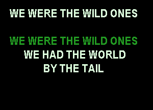 WE WERE THE WILD ONES

WE WERE THE WILD ONES
WE HAD THE WORLD
BY THE TAIL