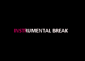 INSTRUMENTAL BREAK