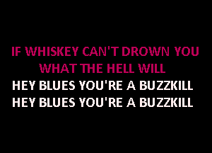 IF WHISKEY CAN'T DROWN YOU
WHAT THE HELL WILL

HEY BLUES YOU'RE A BUZZKILL

HEY BLUES YOU'RE A BUZZKILL