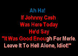 Ah Ha!
If Johnny Cash
Was Here Today

He'd Say
ltWas Good Enough For Merle.
Leave It To Hell Alone, Idiot!