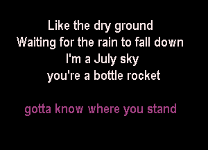 Like the dry ground
Waiting for the rain to fall down
I'm a July sky

you're a bottle rocket

gotta know where you stand