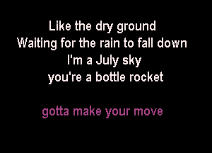 Like the dry ground
Waiting for the rain to fall down
I'm a July sky

you're a bottle rocket

gotta make your move