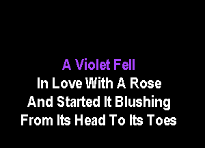 A Violet Fell

In Love With A Rose
And Started It Blushing
From Its Head To Its Toes