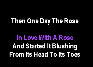 Then One Day The Rose

In Love With A Rose
And Started It Blushing
From Its Head To Its Toes
