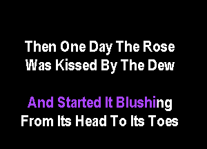 Then One Day The Rose
Was Kissed By The Dew

And Started It Blushing
From Its Head To Its Toes
