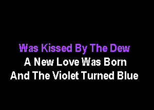 Was Kissed By The Dew

A New Love Was Born
And The Violet Turned Blue
