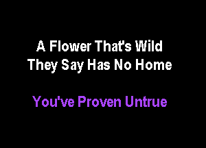 A Flower That's Wild
They Say Has No Home

You've Proven Untrue
