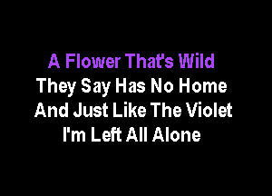 A Flower That's Wild
They Say Has No Home

And Just Like The Violet
I'm Left All Alone