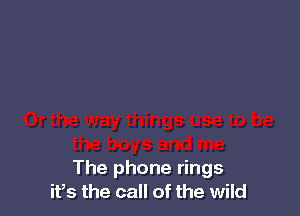 The phone rings
ifs the call of the wild