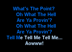 What's The Point?
Oh What The Hell
Are Ya Provin'?

Oh What The Hell

Are Ya Provin'?
Tell Me Tell Me Tell Me...
Aowww!