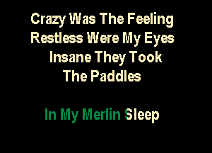 Crazy Was The Feeling
Restless Were My Eyes
Insane They Took
The Paddles

In My Merlin Sleep