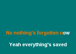 No nothing's forgotten now

Yeah everything's saved