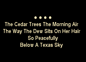 O 0 O O
The Cedar Trees The Morning Air

The Way The Dew Sits On Her Hair
80 Peacefully
Below A Texas Sky