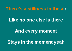 There's a stillness in the air
Like no one else is there

And every moment

Stays in the moment yeah