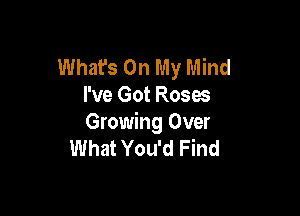 What's On My Mind
I've Got Roses

Growing Over
What You'd Find