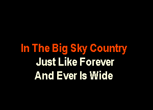 In The Big Sky Country

Just Like Forever
And Ever ls Wide