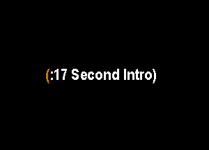 (z17 Second Intro)