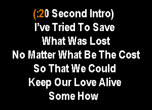 (120 Second Intro)
I've Tried To Save
What Was Lost
No Matter What Be The Cost

So That We Could
Keep Our Love Alive
Some How
