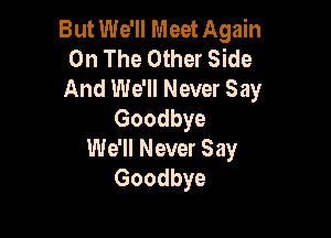 But We'll Meet Again
On The Other Side
And We'll Never Say
Goodbye

We'll Never Say
Goodbye