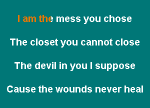 I am the mess you chose
The closet you cannot close
The devil in you I suppose

Cause the wounds never heal