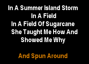 In A Summer Island Storm
In A Field
In A Field Of Sugarcane
She Taught Me How And

Showed Me Why

And Spun Around