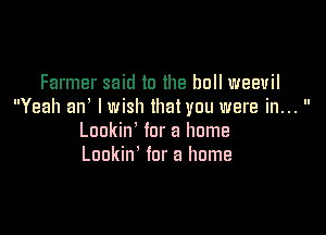 Farmer said to the ball weevil
Yeah an lwish that you were in... 

Lookin' for a home
Lookiw for a home