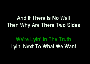 And If There Is No Wall
Then Why Are There Two Sides

We're Lyin' In The Truth
Lyin' Next To What We Want