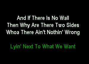 And If There Is No Wall
Then Why Are There Two Sides

Whoa There Ain't Nothin' Wrong

Lyin' Next To What We Want