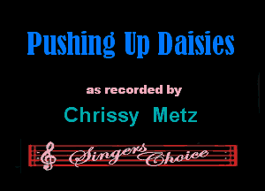 Pushing IUD Daisies

an recorded by

Chrissy Metz