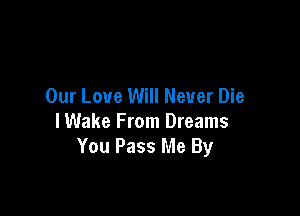 Our Love Will Never Die

lWake From Dreams
You Pass Me By