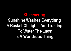Shimmering
SunshineWashes Everything

A Basket Of Light I Am Trusting
To Water The Lawn
Is A Wondrous Thing