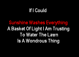 Ifl Could

SunshineWashes Everything

A Basket Of Light I Am Trusting
To Water The Lawn
Is A Wondrous Thing