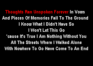 Thoughts Ran Unspoken Forever In Vows
And Pieces Of Memories Fall To The Ground
I Know What I Didn't Have 80
IWon't Let This Go
'cause It's True I Am Nothing Without You
All The Streets Where I Walked Alone
With Nowhere To Go Have Come To An End