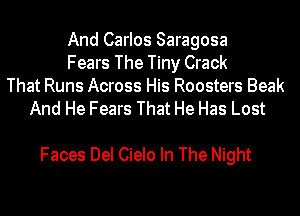 And Carlos Saragosa
Fears The Tiny Crack
That Runs Across His Roosters Beak
And He Fears That He Has Lost

Faces Del Cielo In The Night