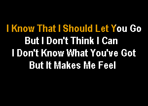 I Know That I Should Let You Go
But I Don't Think I Can
I Don't Know What You've Got

But It Makes Me Feel